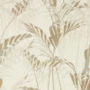 Palm House 216644